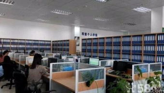 免费咨询各种关于注册公司,代理记账,注册商标,财务方面的问题